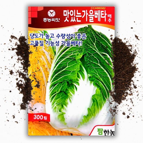 맛있는 가을 베타 김장용 배추 씨앗 종자 300립 베타카로틴 항암 배추