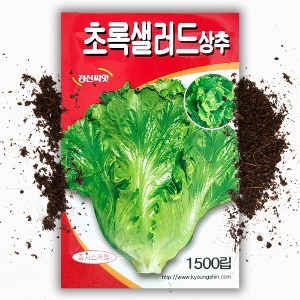 초록 샐러드 상추씨앗(1500립) 상추키우기 샐러드 쌈