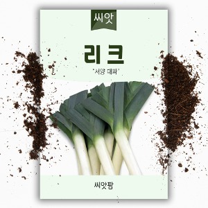 LeeK 리이크 서양대파 풋마늘(4g)