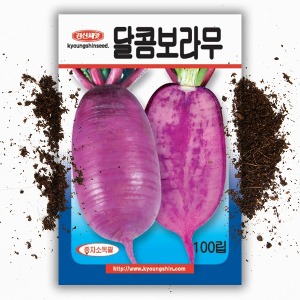 달콤 보라무 씨앗 종자 100립 김장용 샐러드 무우