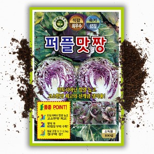 퍼플 맛짱 양배추씨앗 (100립) 신개념 생식용 양배추