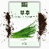 부추 씨앗 (2000립)