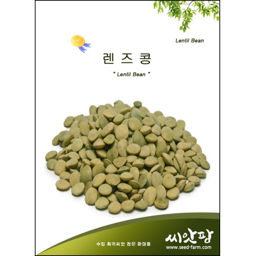 렌틸콩 씨앗 /렌즈콩/Lentil Bean씨앗