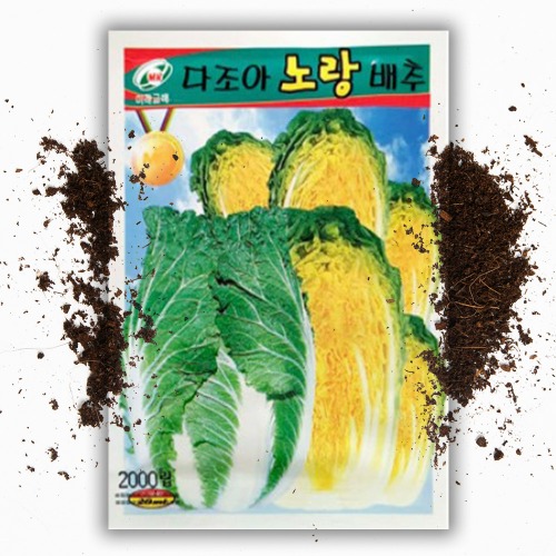 다조아 노랑 배추씨앗 (2000립)