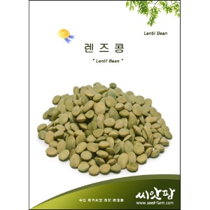 렌틸콩 씨앗 /렌즈콩/Lentil Bean씨앗