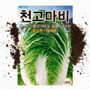 천고마비 배추씨앗 (1000립) 김장배추