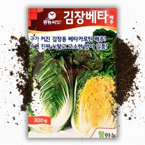 김장베타 배추씨앗 (300립)