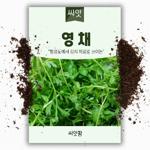 영채(산갓) (5g)