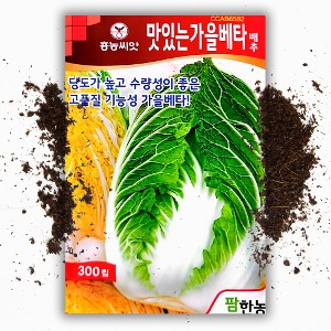 맛있는 가을 베타 김장용 배추 씨앗 종자 300립 베타카로틴 항암 배추