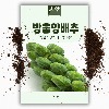 미니방울양배추 씨앗(500립)