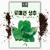 로메인상추씨앗 (1500립)